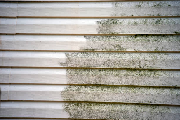 Best Attic Cleanout  in Des Allemands, LA
