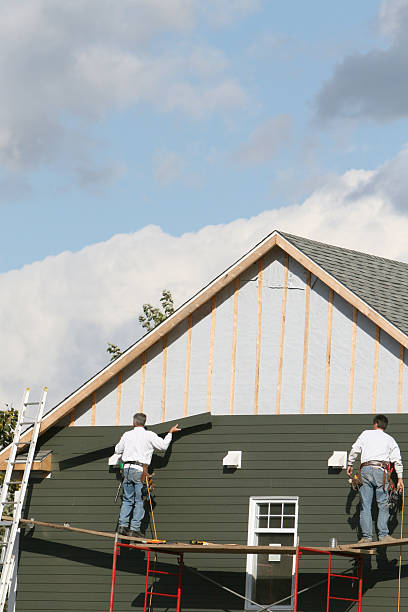 Best Carpet Removal and Disposal  in Des Allemands, LA